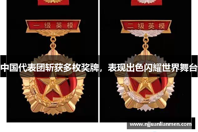 中国代表团斩获多枚奖牌，表现出色闪耀世界舞台