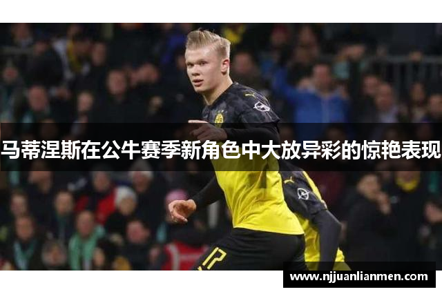 马蒂涅斯在公牛赛季新角色中大放异彩的惊艳表现