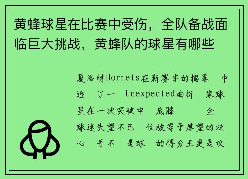 黄蜂球星在比赛中受伤，全队备战面临巨大挑战，黄蜂队的球星有哪些