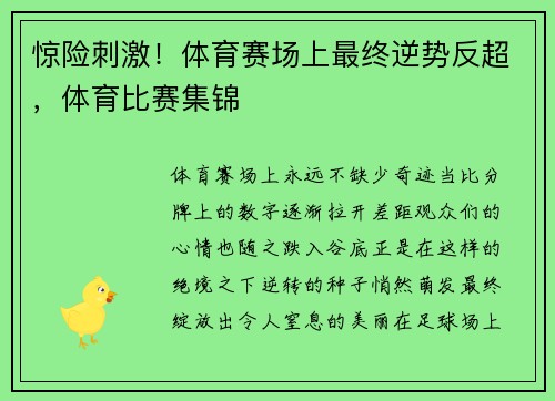 惊险刺激！体育赛场上最终逆势反超，体育比赛集锦