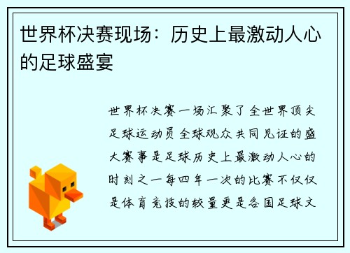 世界杯决赛现场：历史上最激动人心的足球盛宴